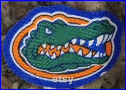 Custom Painted Florida Gators Hey Dudes
