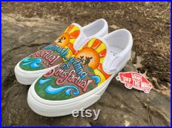 Custom Vans Disney Splash Mountain inspired Hand Painted Shoes
